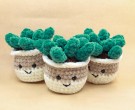 Pluppe den pliktoppfyllende potteplanten - 